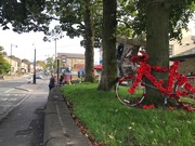 22nd Sep 2018 - Poppy bicycle 