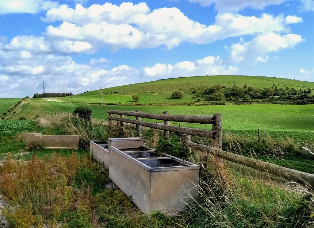 Water Trough by 4rky