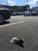 18th Sep 2018 - Shoe in the Kroger parking lot