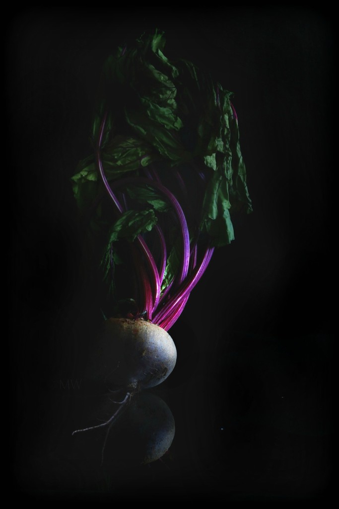 2018-09-23 just "beet" it by mona65