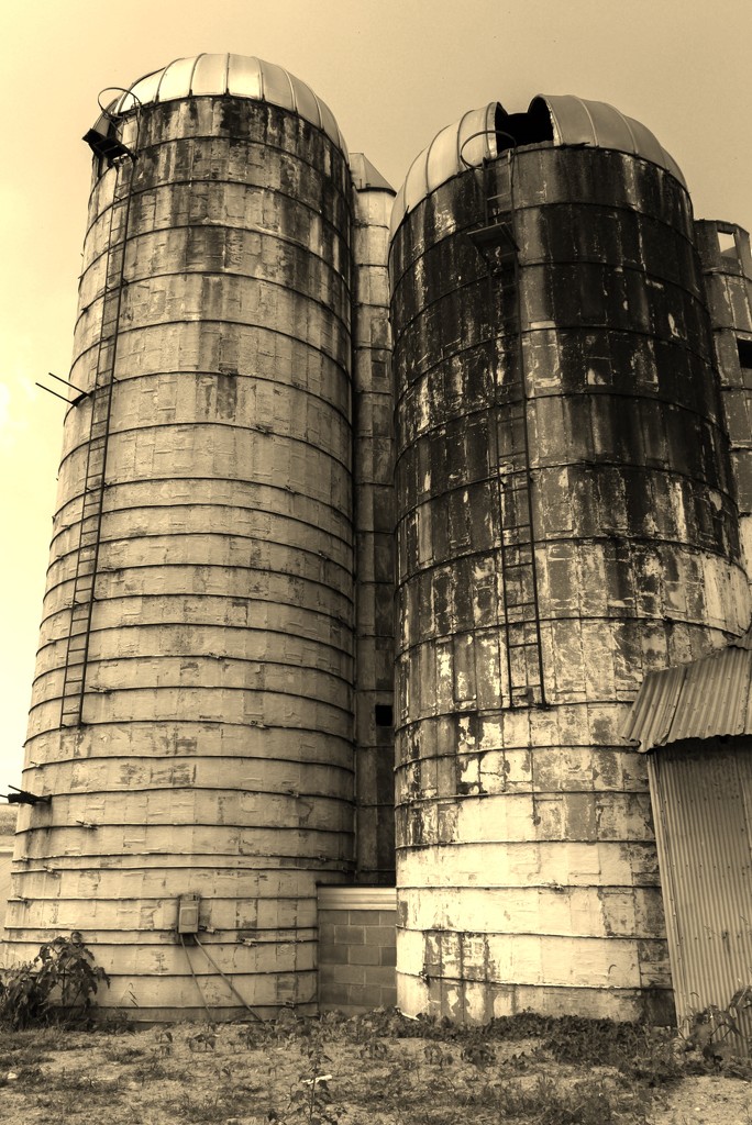 Silos by mittens