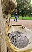 14th Sep 2018 - Drinking fountain in St James's Park