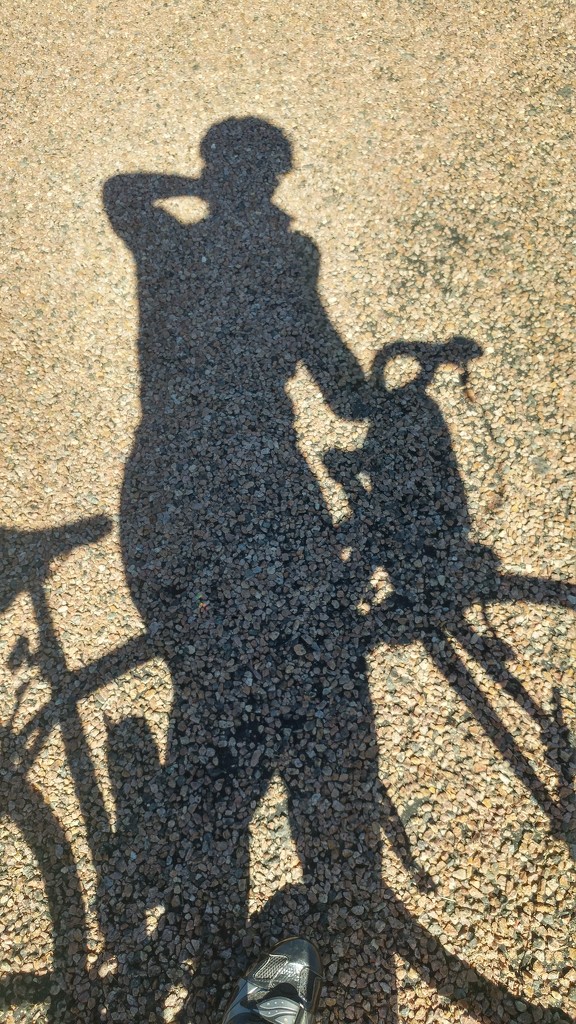 Shadow Biker by harbie