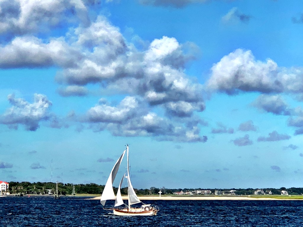 Sailboat and clouds, Chsrleston Harbor, Charleston, SC by congaree