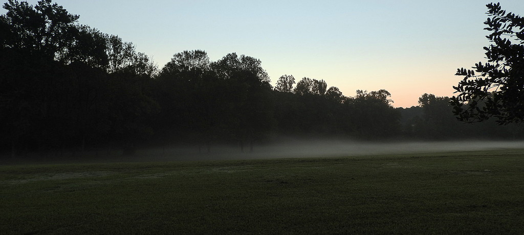 Mist rises with the sun by homeschoolmom