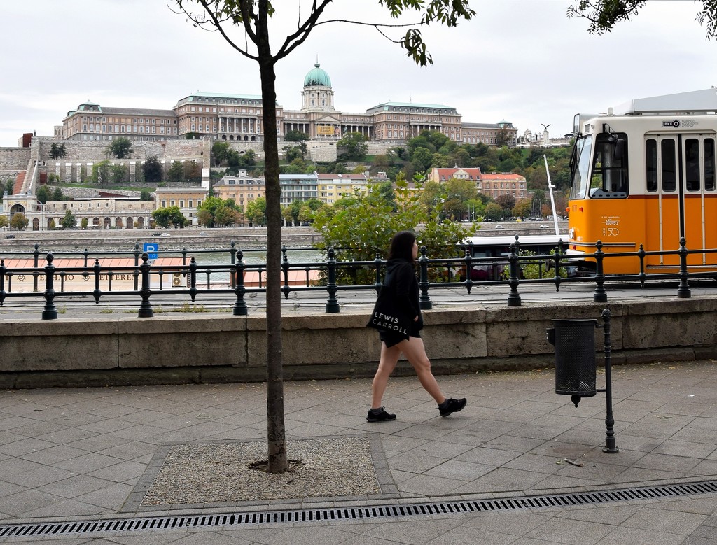 The yellow tram by kork