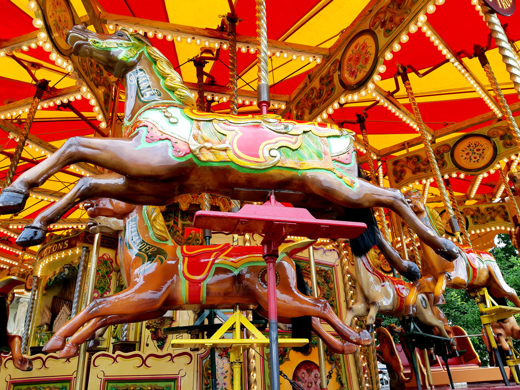 18th Sept York carousel by valpetersen