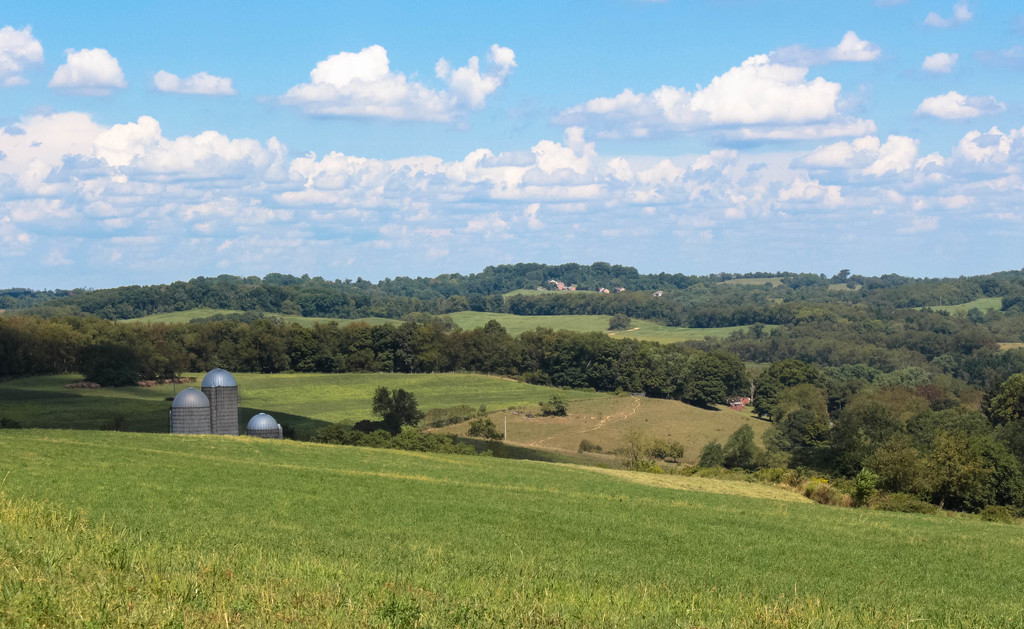 From the top of the hill by mittens