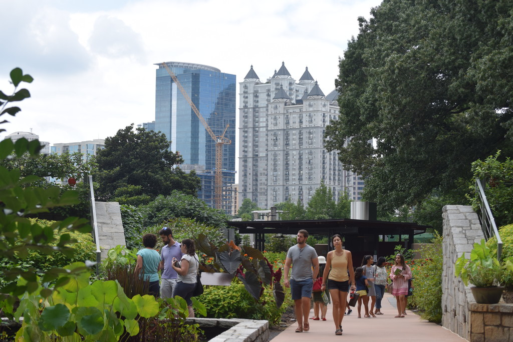 Atlanta Botanical Gardens by dsp2