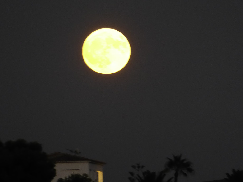 Tonight's moon.  by chimfa