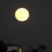 Tonight's moon.  by chimfa