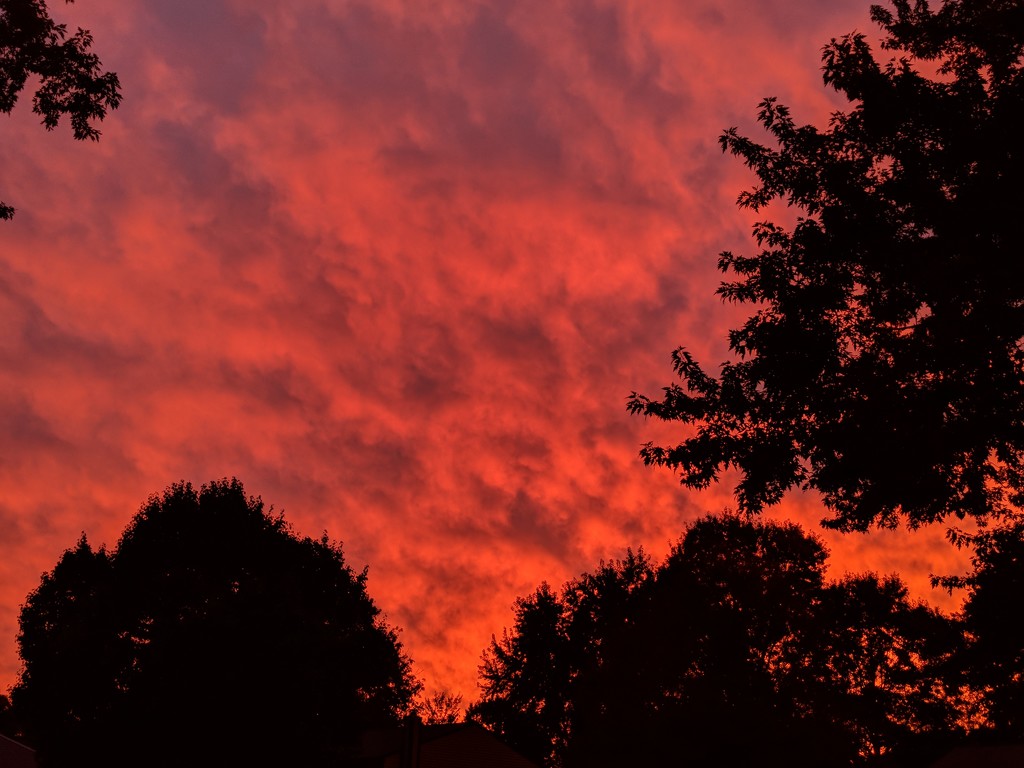 Sunset on Fire by photogypsy