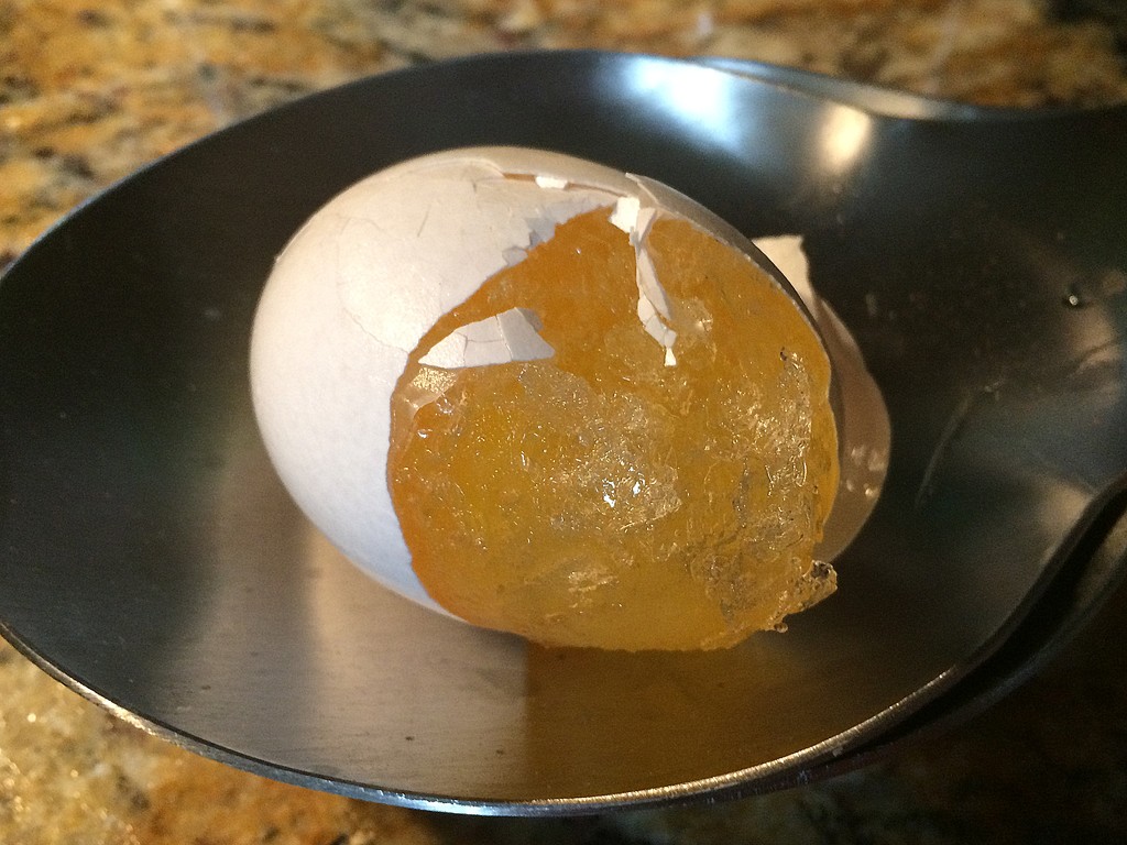 Frozen Egg by homeschoolmom