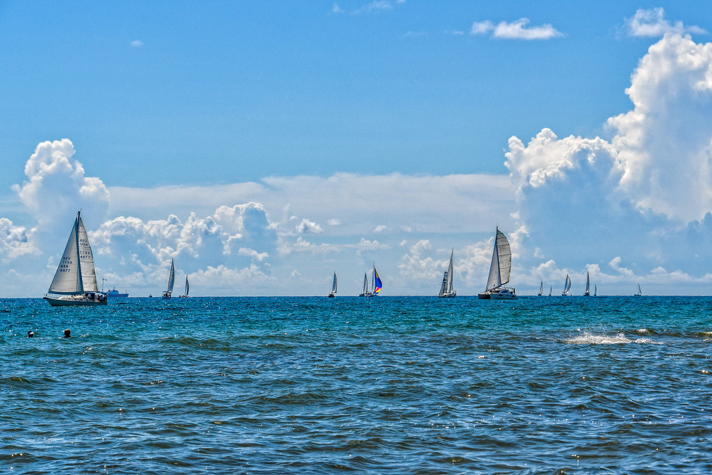 Sailboats by danette