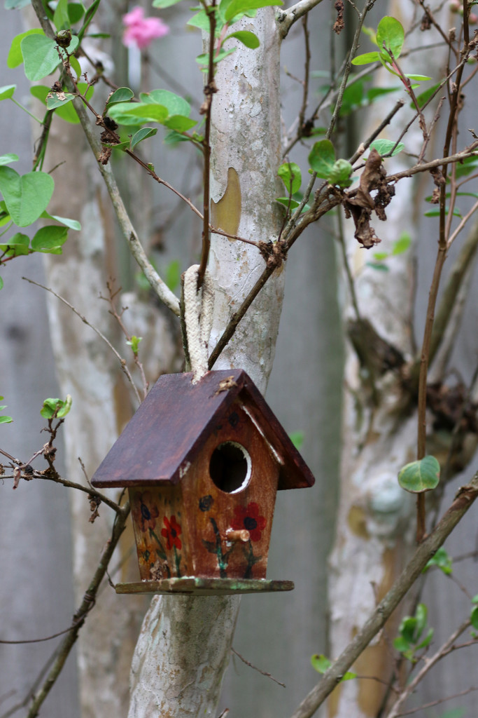 Birdhouse by ingrid01