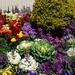 Small Section Of The Prize Winning Garden ~ by happysnaps