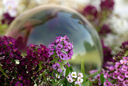25th Sep 2018 - Flowers and Glass Sphere