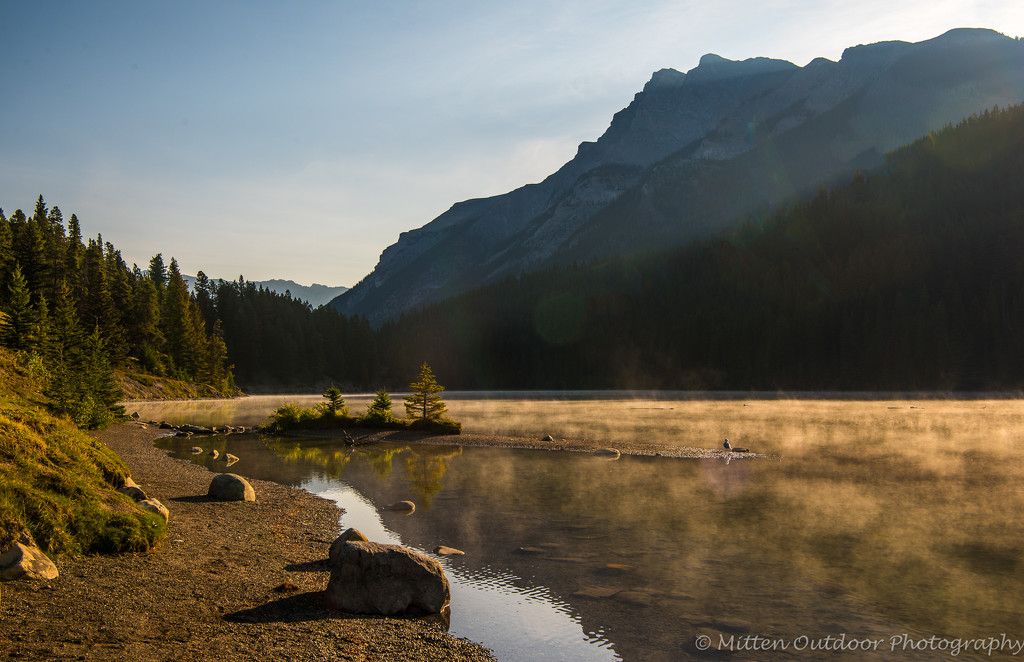Sunrise on Bow Lake by dridsdale