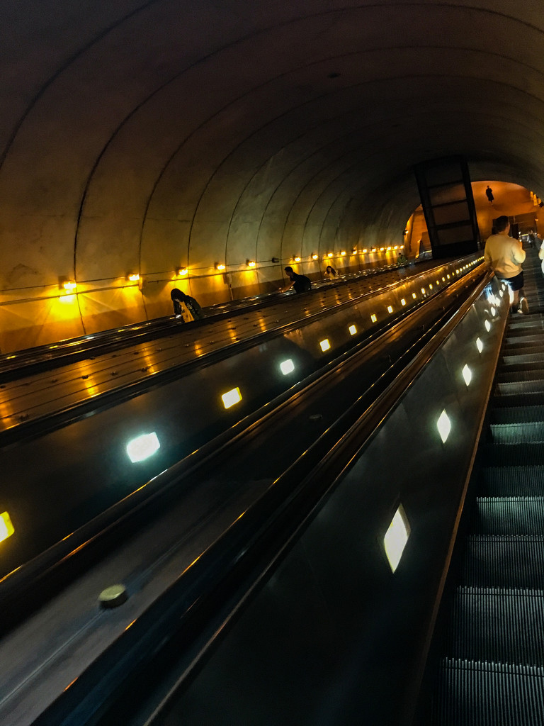 Rosslyn metro station escalator by jernst1779