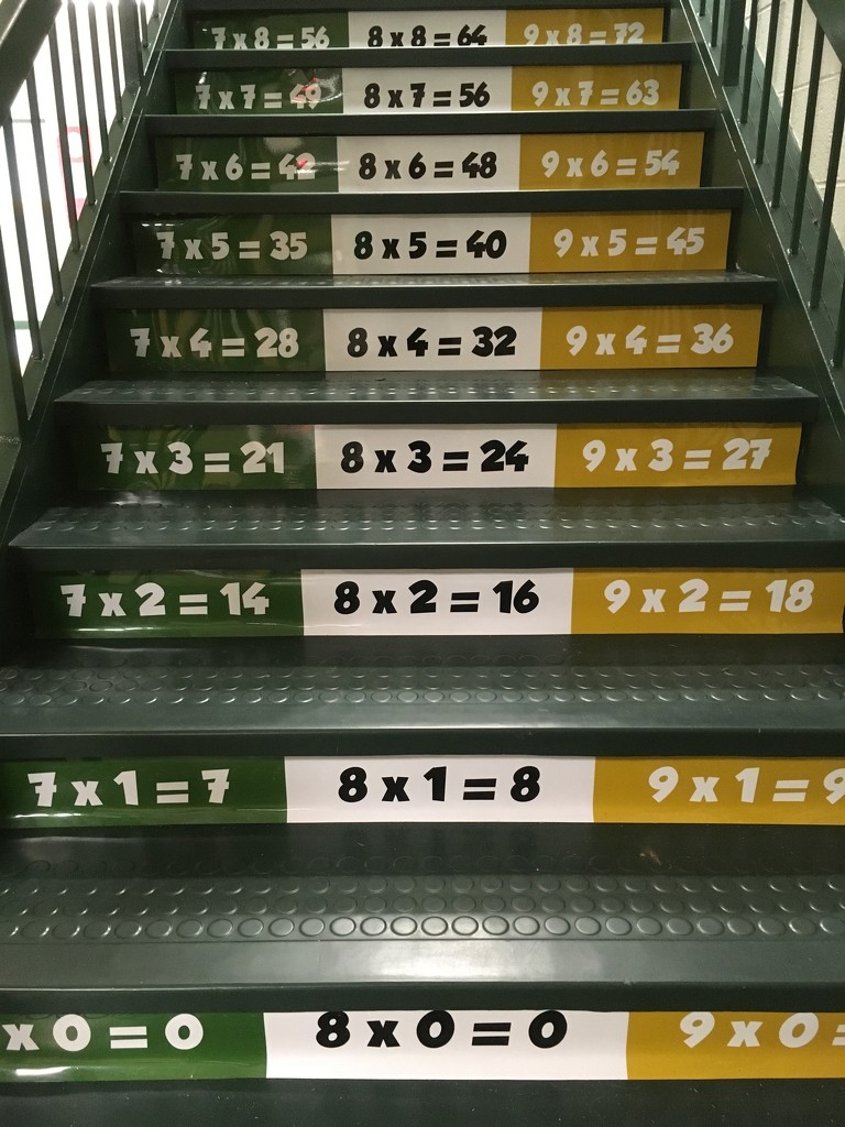 our new 5th grade steps by wiesnerbeth