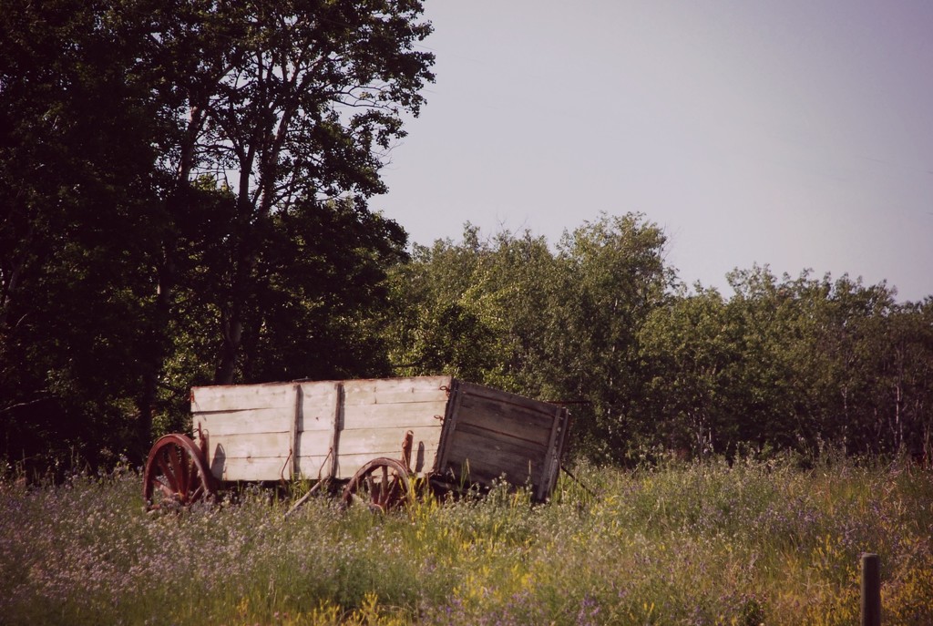 Old Wagon by farmreporter