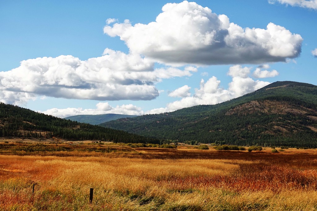 Beautiful Montana - Big Sky Country by milaniet