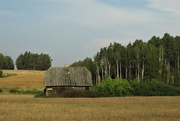 21st Sep 2018 - Latvian countryside.