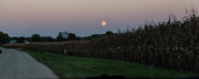 25th Sep 2018 - Moon rise over the cornfield