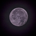 Full Moon. by tonygig
