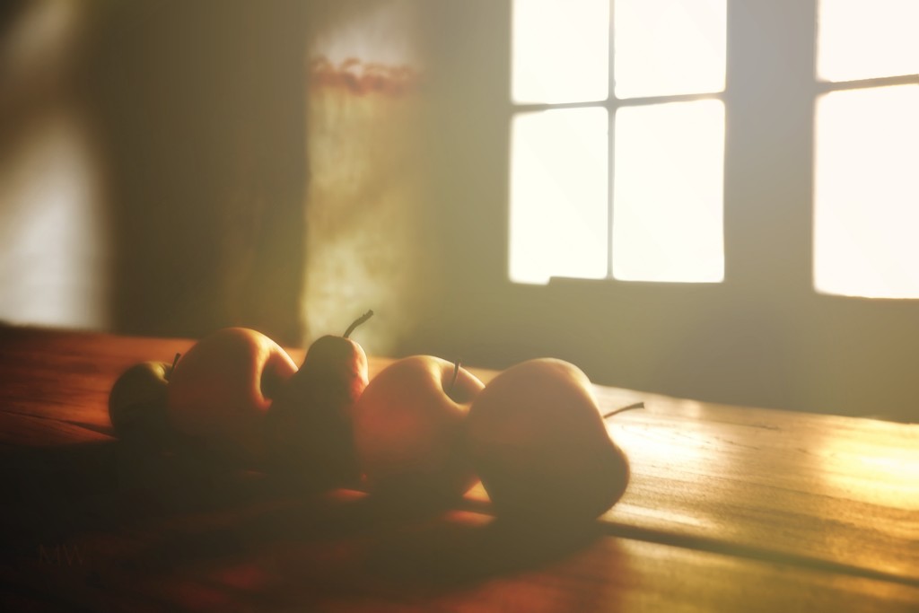 2018-09-27 apples and a pear in sunlight by mona65