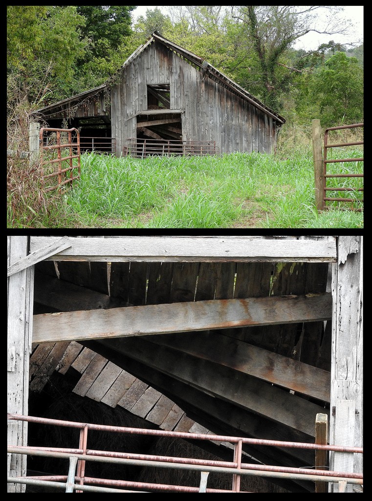 Your hayloft is falling! by homeschoolmom