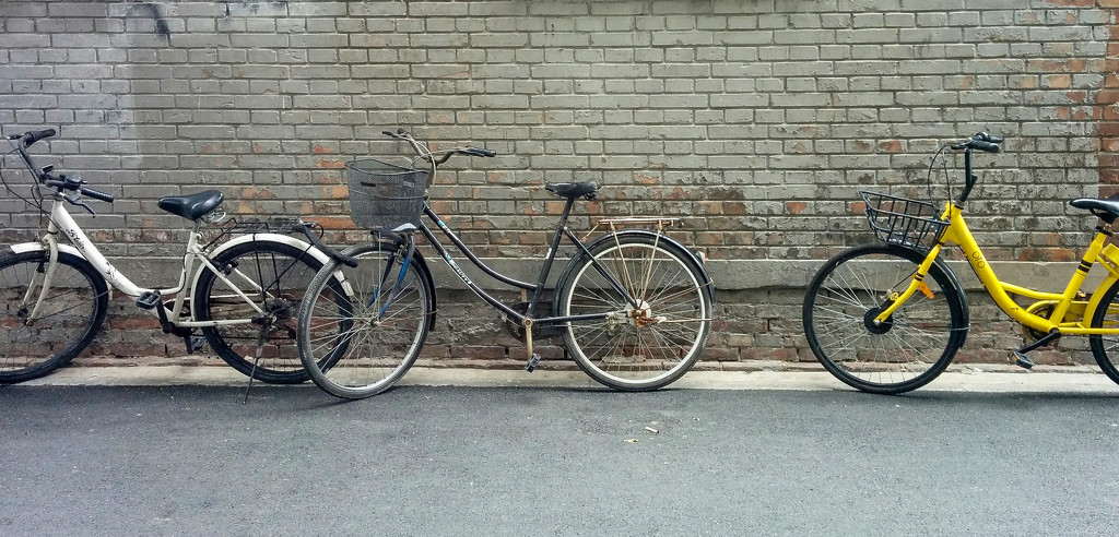 Bikes in Beijing  by yaorenliu