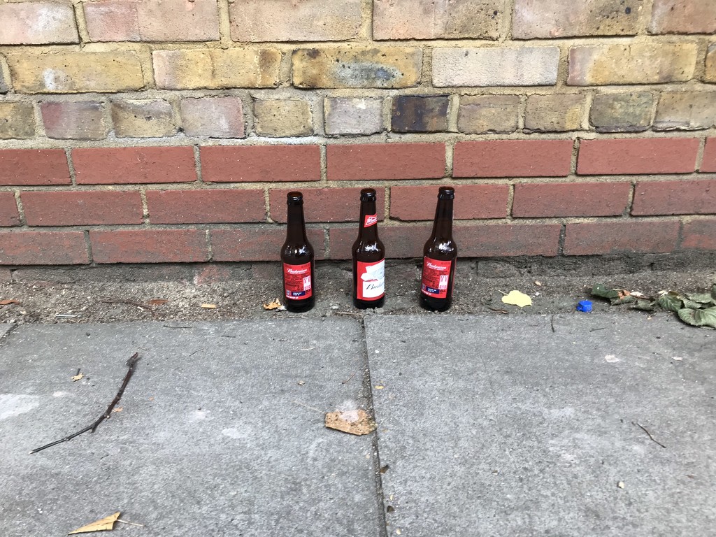 3 beer bottles by emma1231