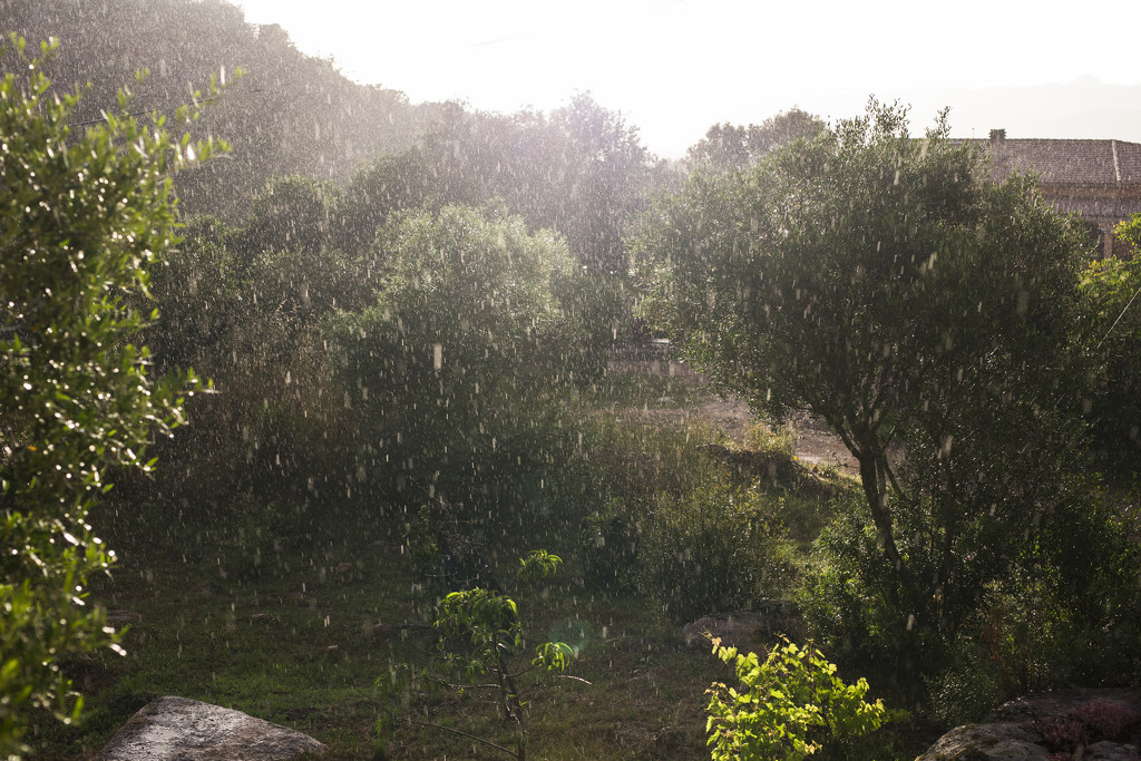 Summer rain - Sardinia by lily