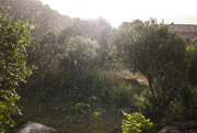 28th May 2018 - Summer rain - Sardinia