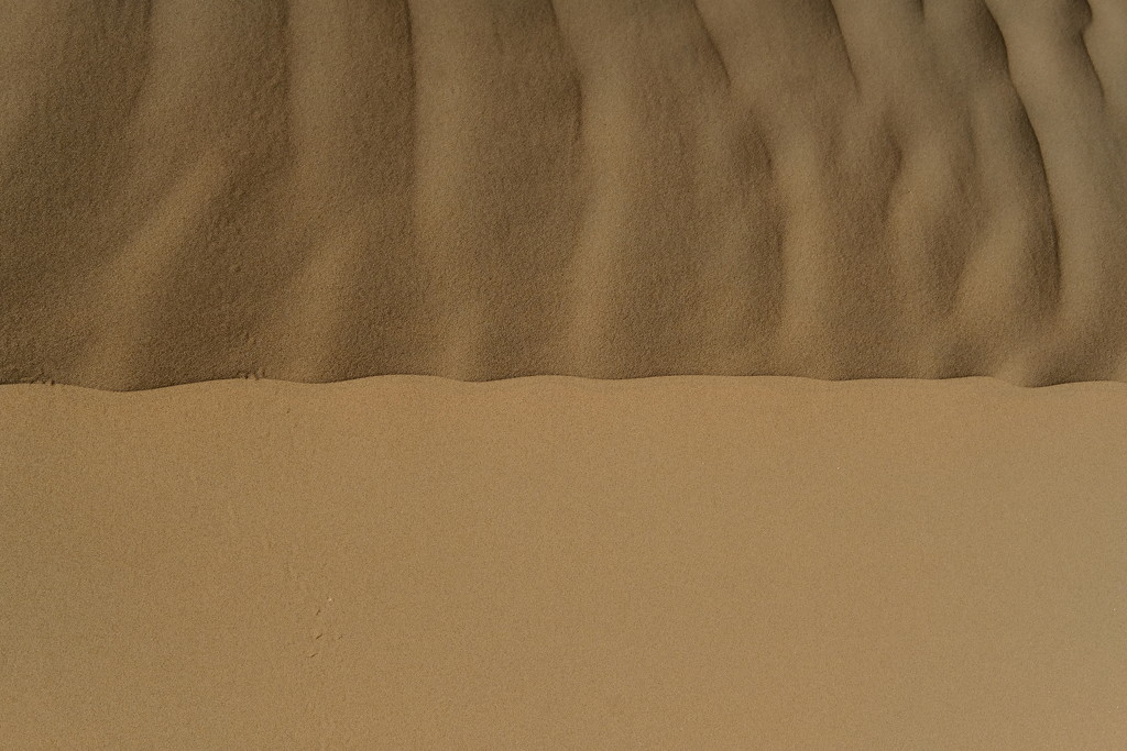 Dune crest, Al Khatim by stefanotrezzi