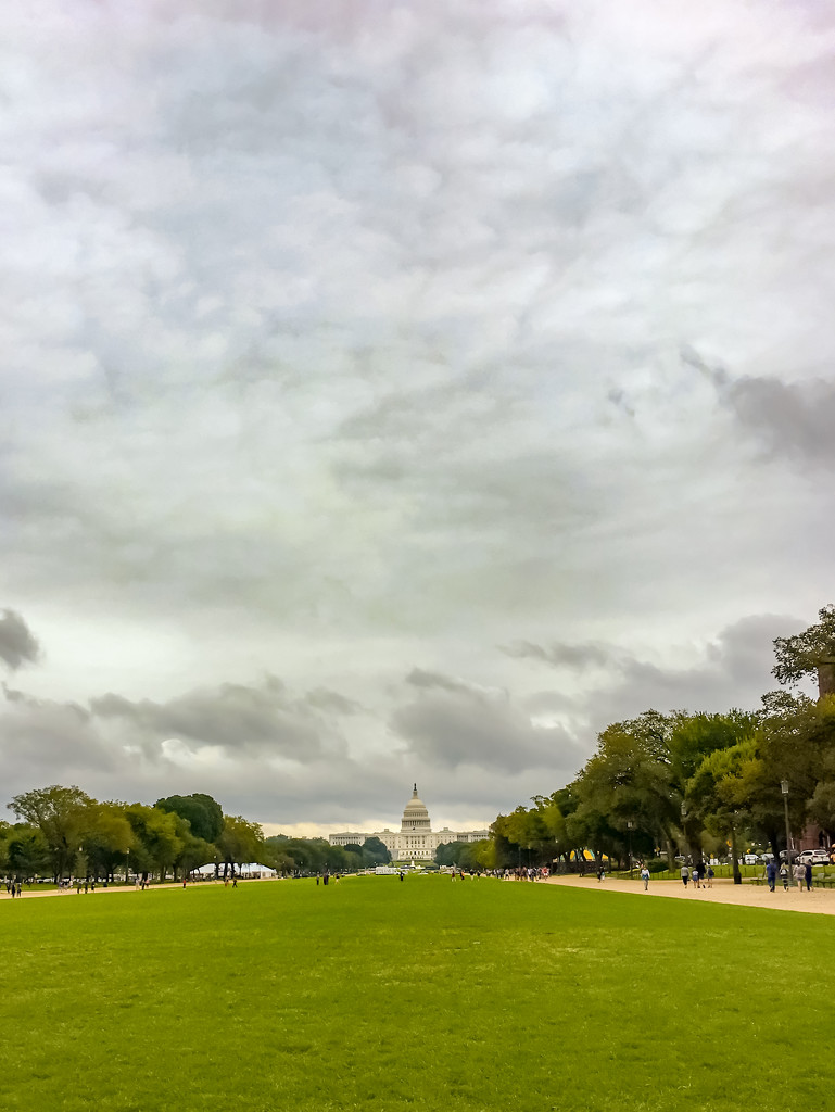 view of the Capitol from the Mall by jernst1779