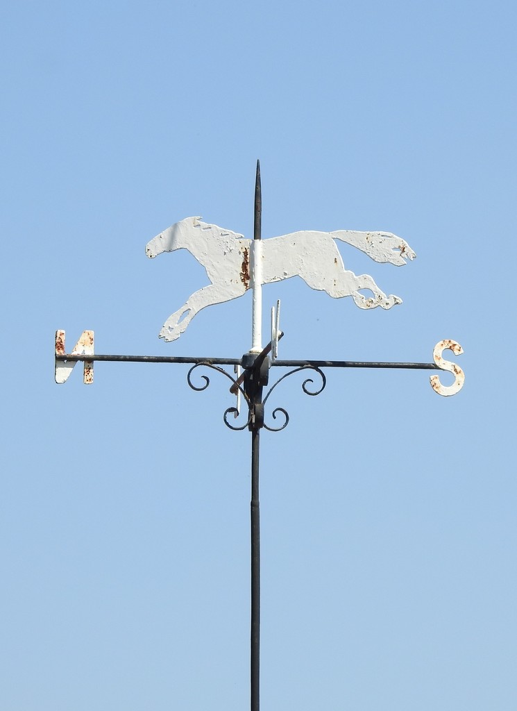  White Horse - Bulcote  by oldjosh