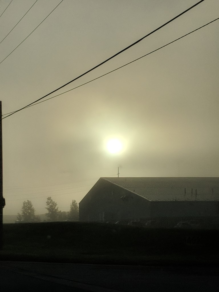 Foggy Morning by photogypsy