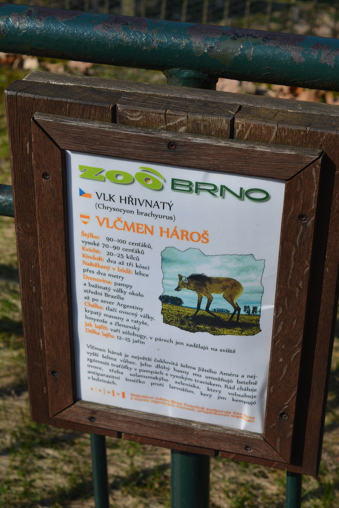 Brno ZOO by fortong