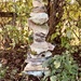 Stone stack by 365projectdrewpdavies