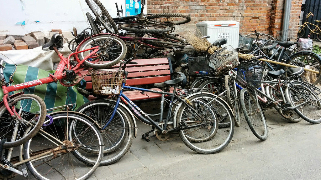 Bikes in Beijing- the tragic finale by yaorenliu