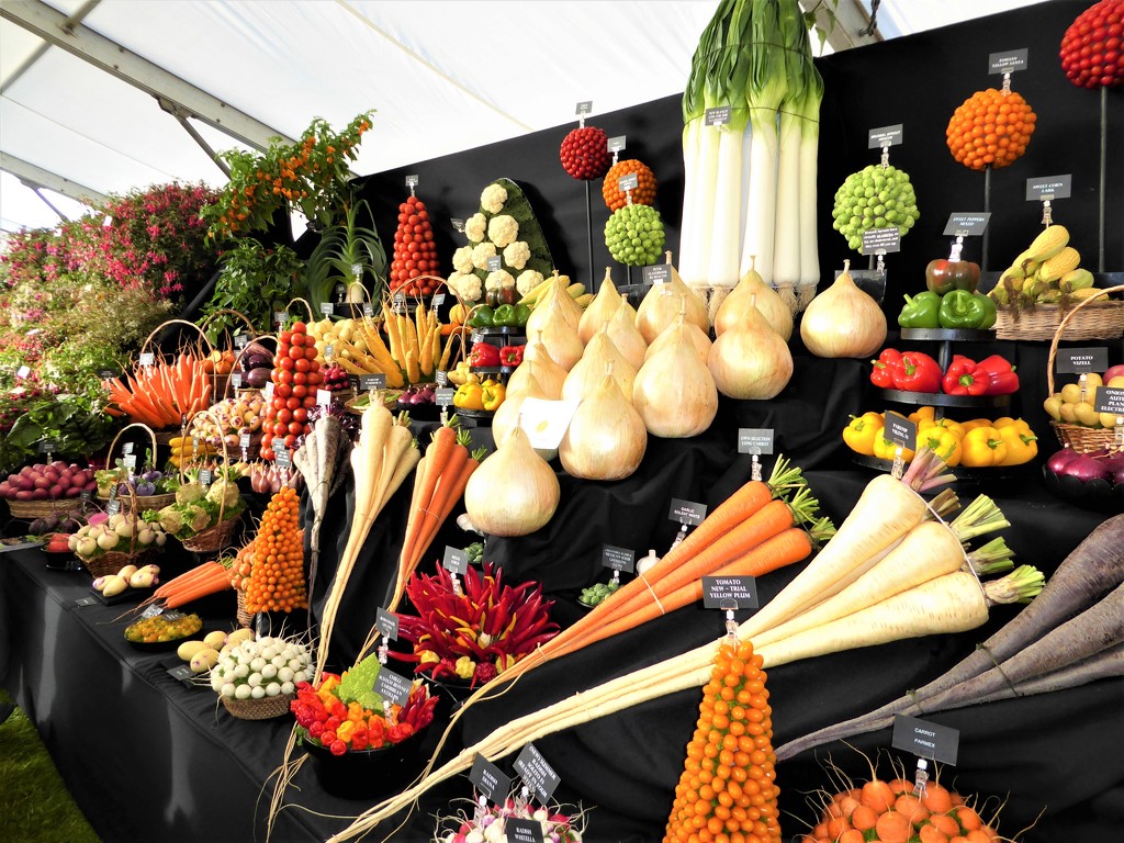 Amazing Display of Vegetables by susiemc