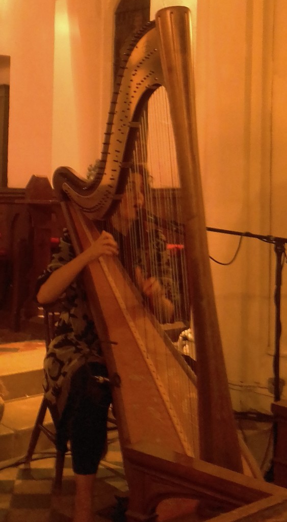 Harpist by 365anne