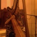 Harpist by 365anne