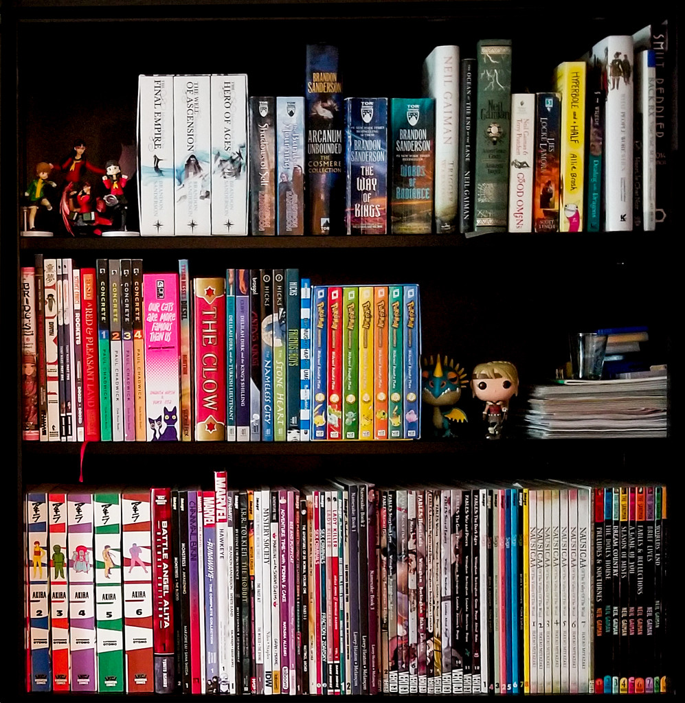 L's Bookshelf  by houser934