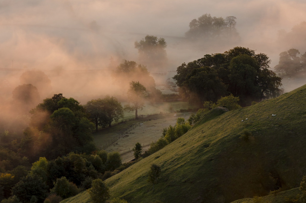 Misty Hillside at daybreak by shepherdmanswife
