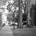 Quiet Campus by lsquared