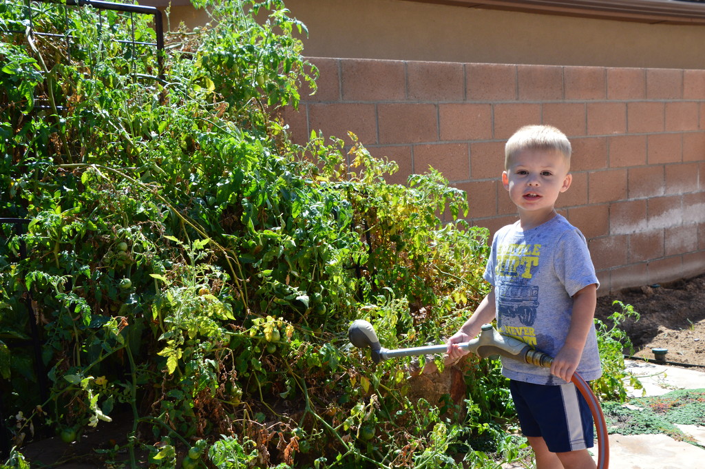 Young Gardener by bigdad