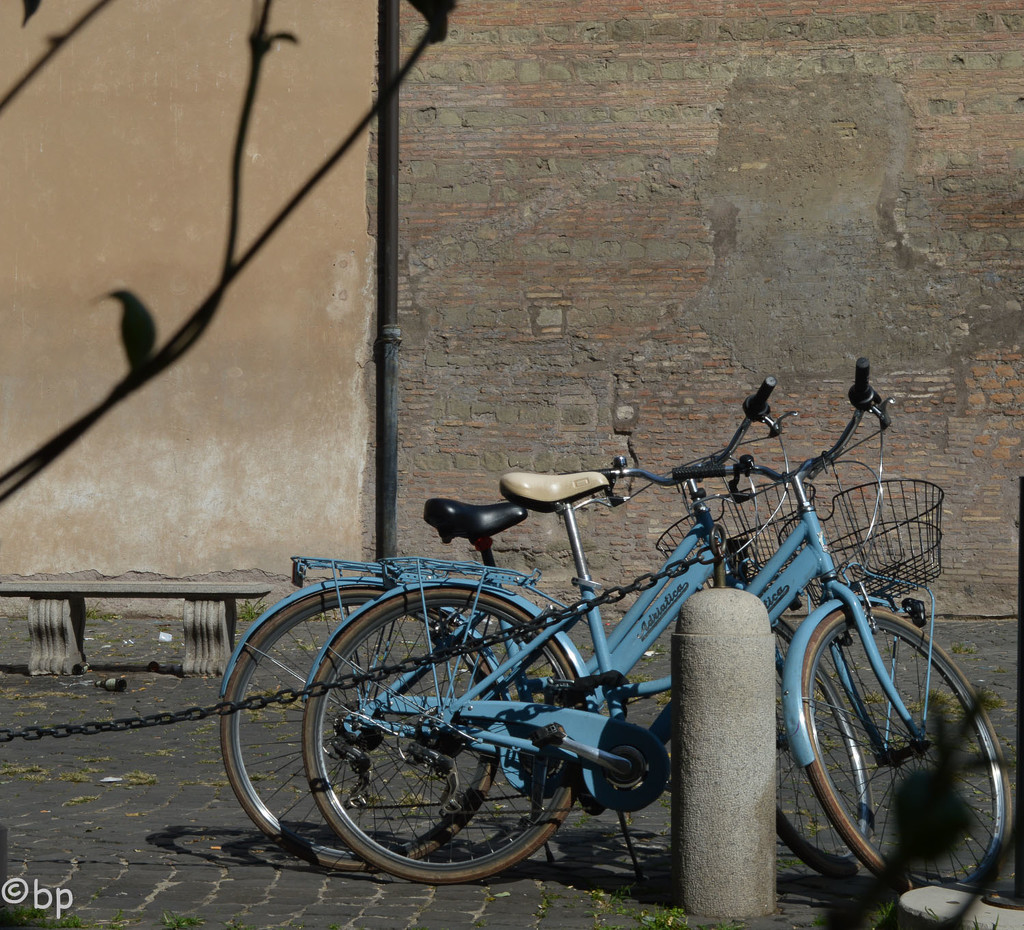 blue bikes by caterina